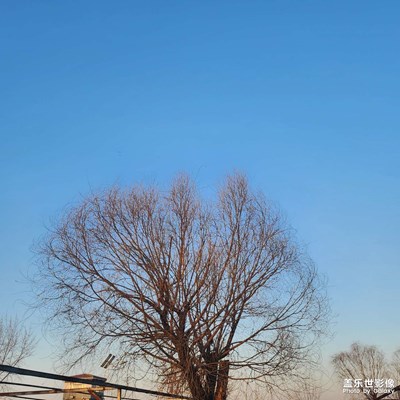 【雕刻時光】隨手拍