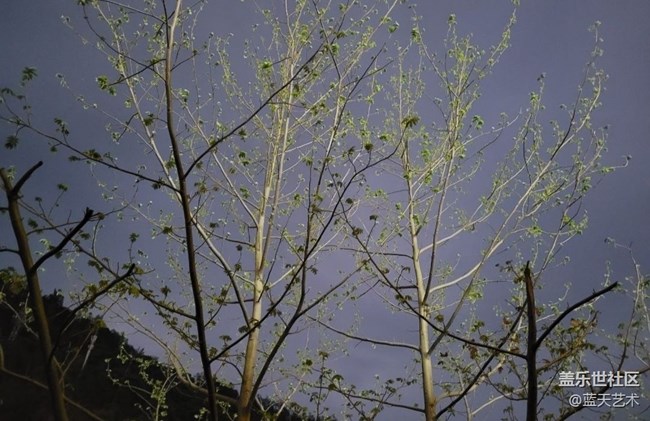 【春和景明】發(fā)芽