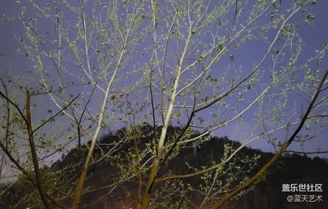 【春和景明】發(fā)芽