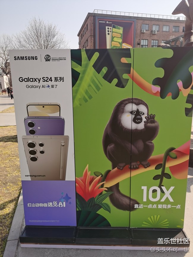 【AI Town 快閃活動】打卡798三星紅山動物園聯(lián)動創(chuàng)意墻