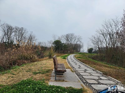 青龍湖濕地公園