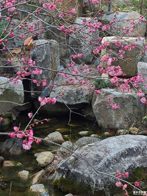 【雕刻時光】+ 春天氣息