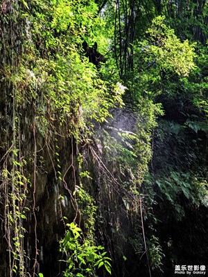 原相機(jī)也不錯(cuò)