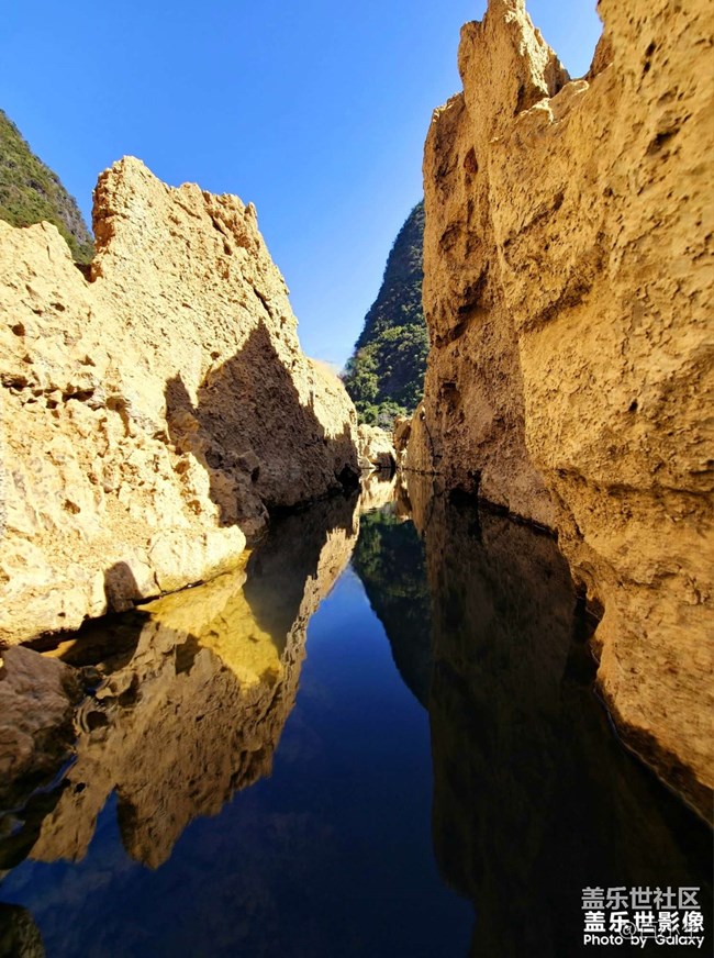 精品大咖秀 第三十五期：龍?zhí)ь^