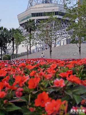 雕刻時光-隨便吐槽一下