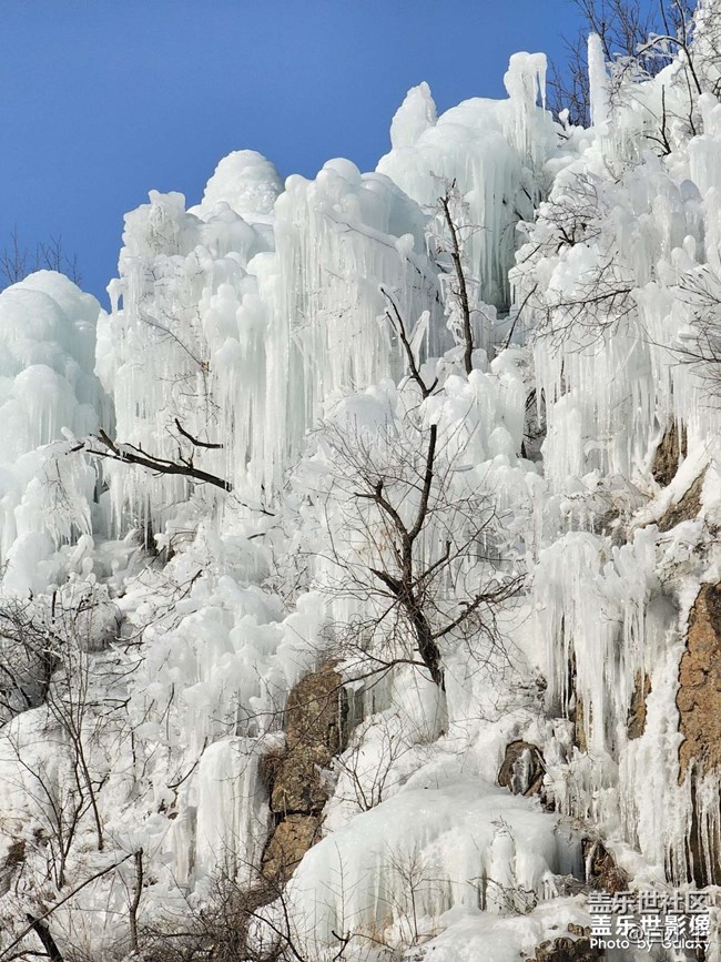 精品大咖秀 第三十五期：龍?zhí)ь^