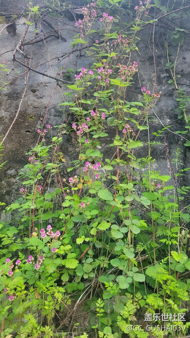 【春暖花開】春暖大地