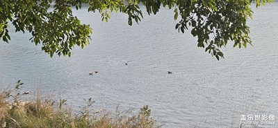 【雕刻時(shí)光】+湖光蕩漾