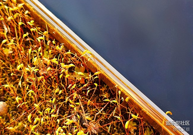 高端大氣上檔次，低調(diào)奢華有內(nèi)涵，W24圖賞