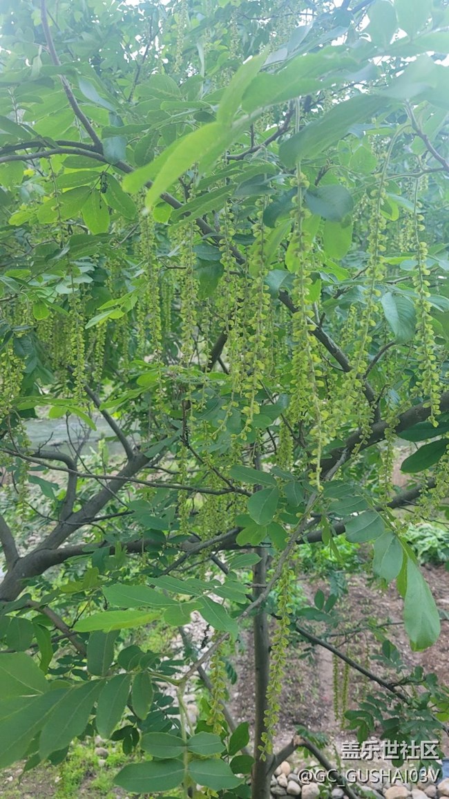 【春暖花開】春暖大地