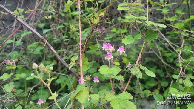 【春暖花開】春暖大地