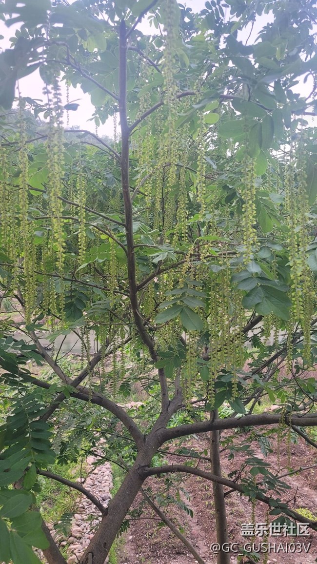 【春暖花開】春暖大地