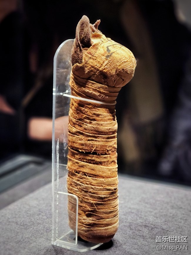 【遇見古埃及攝影活動(dòng)】+古埃及的神秘