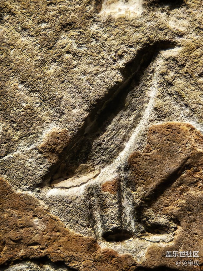 【遇見古埃及攝影活動】+變焦