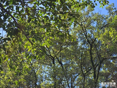 【雕刻時光】戶外景色