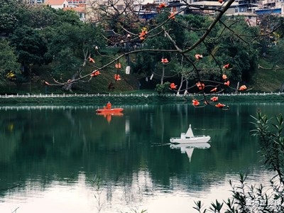 一朝春雨過，萬物皆清明
