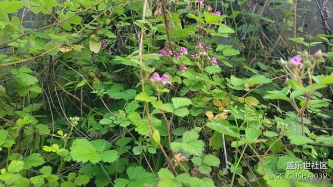 【春暖花開】春暖大地