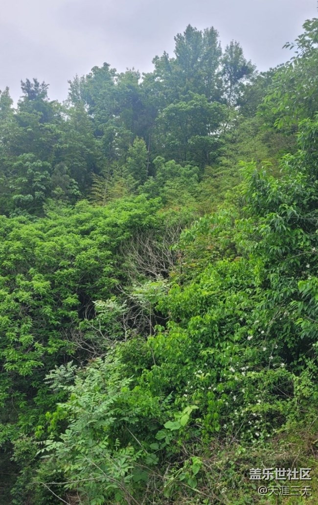 #初春時(shí)節(jié)——山野之間