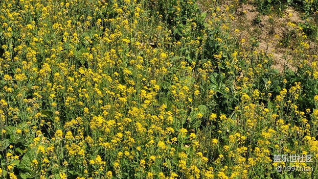 【春影留痕】暖春