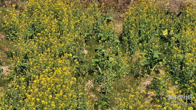 【春影留痕】暖春