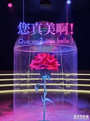 【三月芳菲】小王子之旅