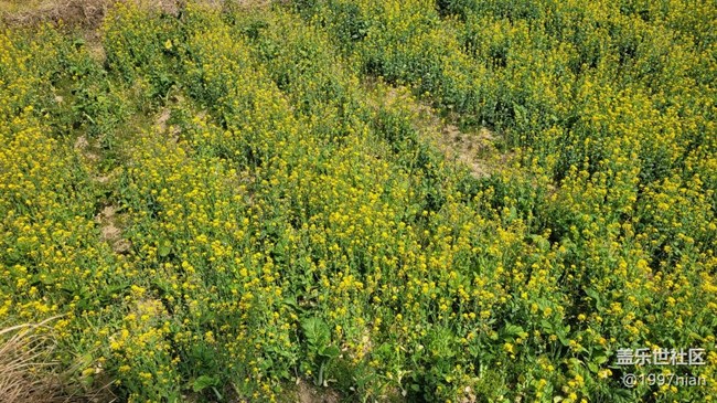 【春影留痕】暖春