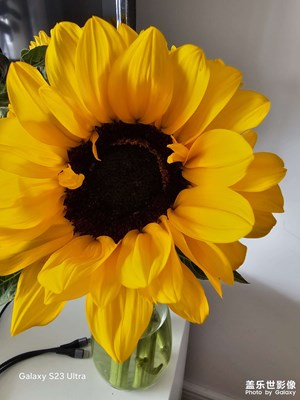 【雕刻時光】美好回憶