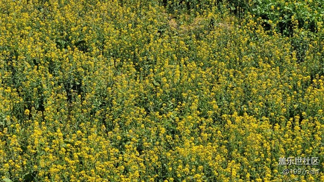 【春影留痕】暖春