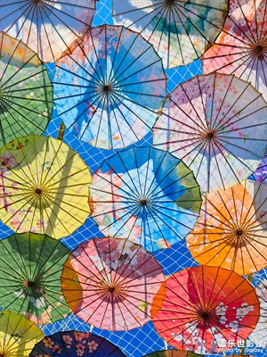 【三月芳菲】天空之傘