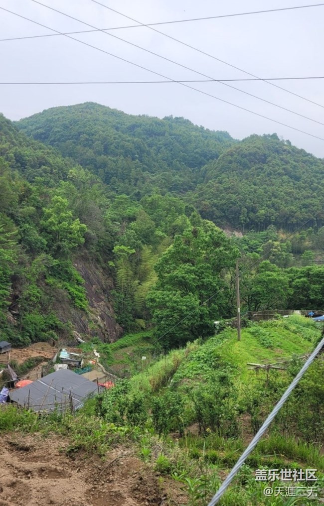 #初春時(shí)節(jié)——山野之間