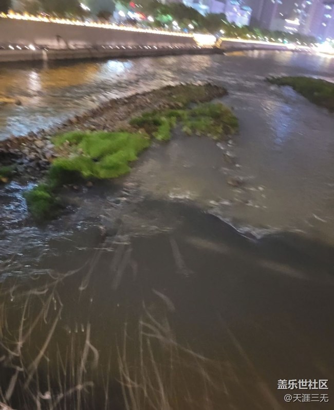 【迎接美好】下雨夜