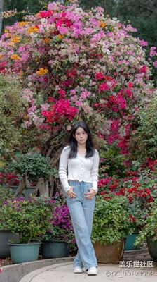 花開的季節(jié)