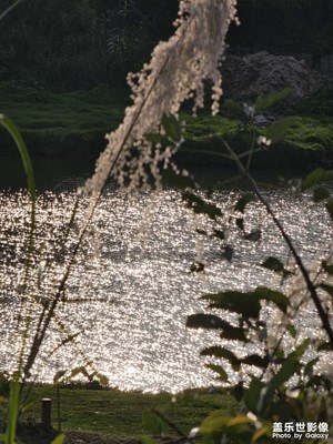 鄉(xiāng)村美景