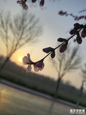 【三月芳菲】+盛春