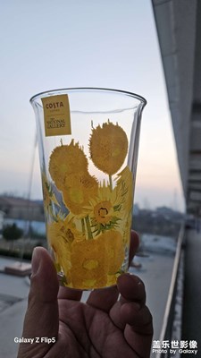 【大師梵高】我怎么那么喜歡梵高，雖然不是學油畫的