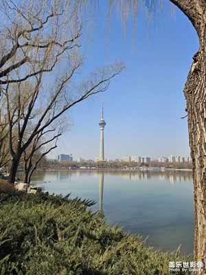 【三月芳菲】+玉淵潭踏青