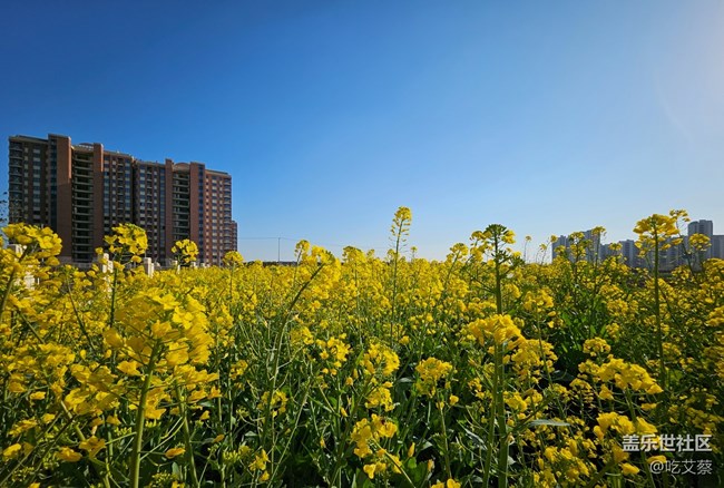 極具辨識度的實力派-三星W24評測