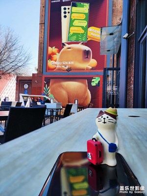 【三月芳菲】+藝術(shù)區(qū)的春游