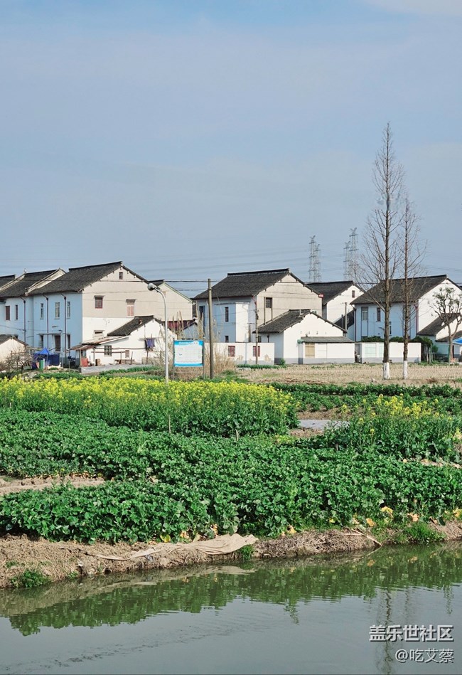 極具辨識度的實力派-三星W24評測