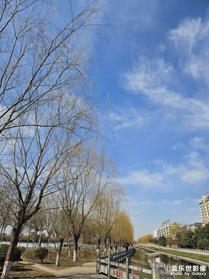 【三月芳菲】+天暖和了