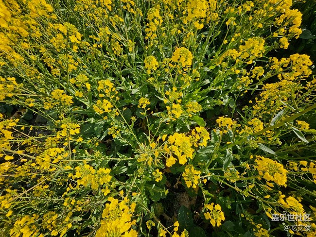 極具辨識度的實力派-三星W24評測