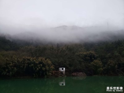 【三月芳菲】+晨跑