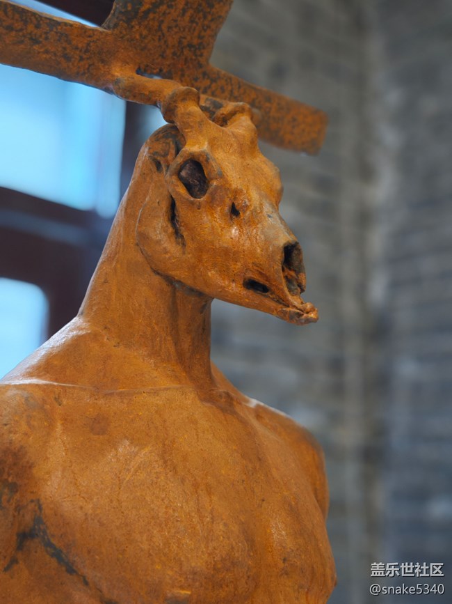 【沈陽藝術(shù)攝影】藝術(shù)展回顧