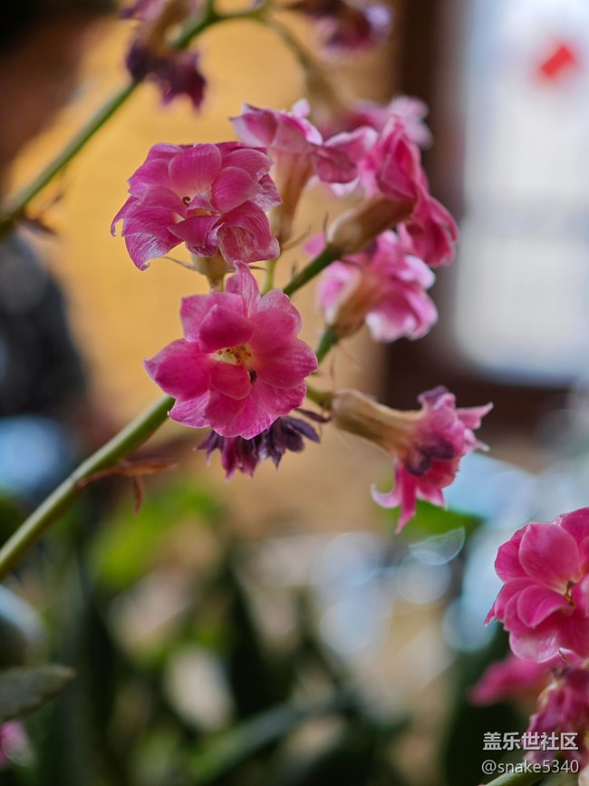 【沈陽藝術(shù)攝影】藝術(shù)展回顧