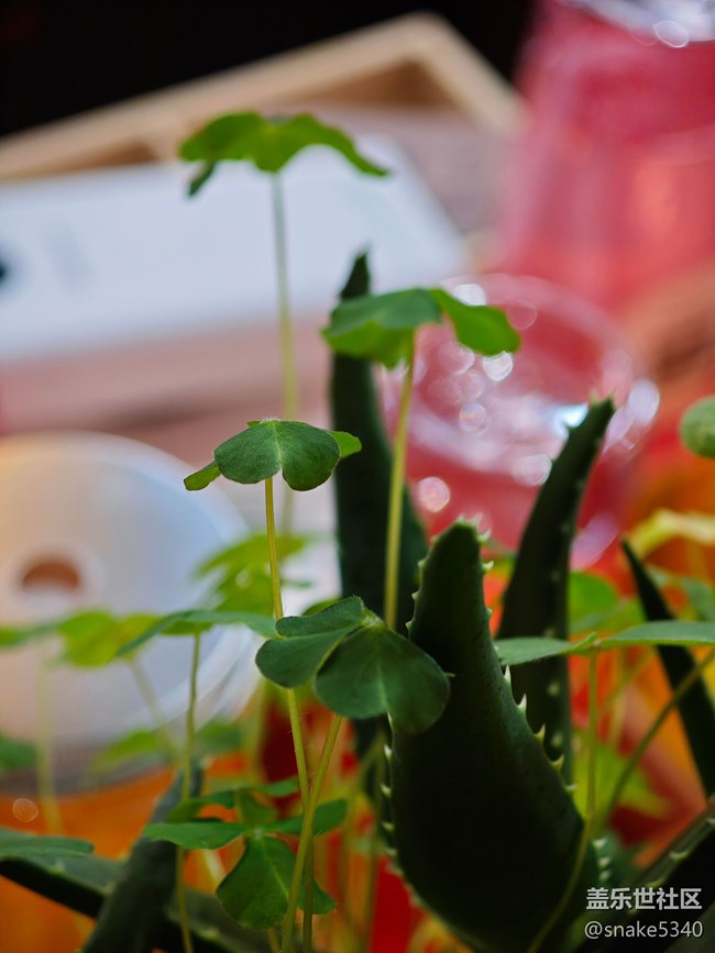 【沈陽藝術(shù)攝影】藝術(shù)展回顧