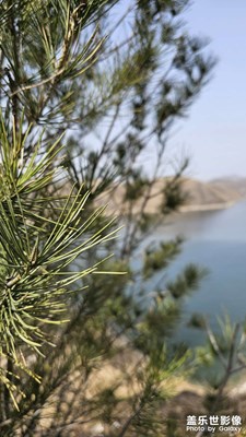 【三月芳菲】+山間春景