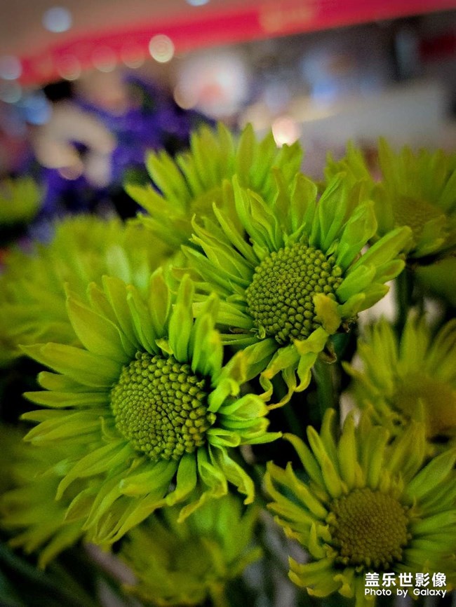 精品大咖秀 第三十五期：二月春分