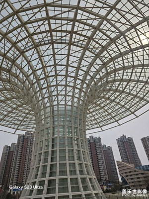 【三月芳菲】相思湖畔