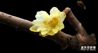 三星s22u相冊(cè)的裁剪功能