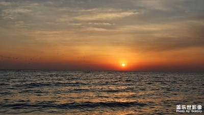 【三月芳菲】+海邊